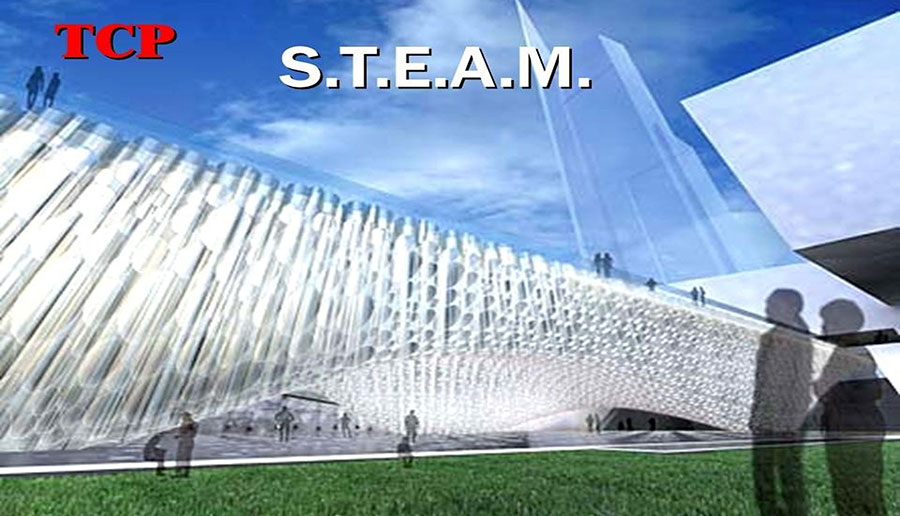 stem
